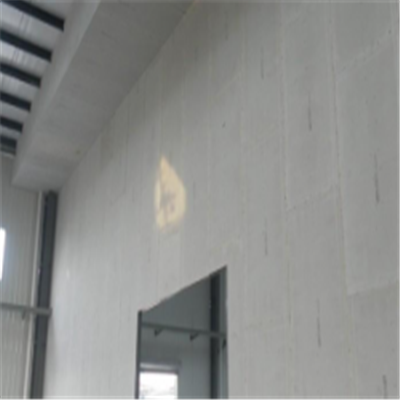 安装新型建筑材料掺多种工业废渣的ALC|ACC|FPS模块板材轻质隔墙板